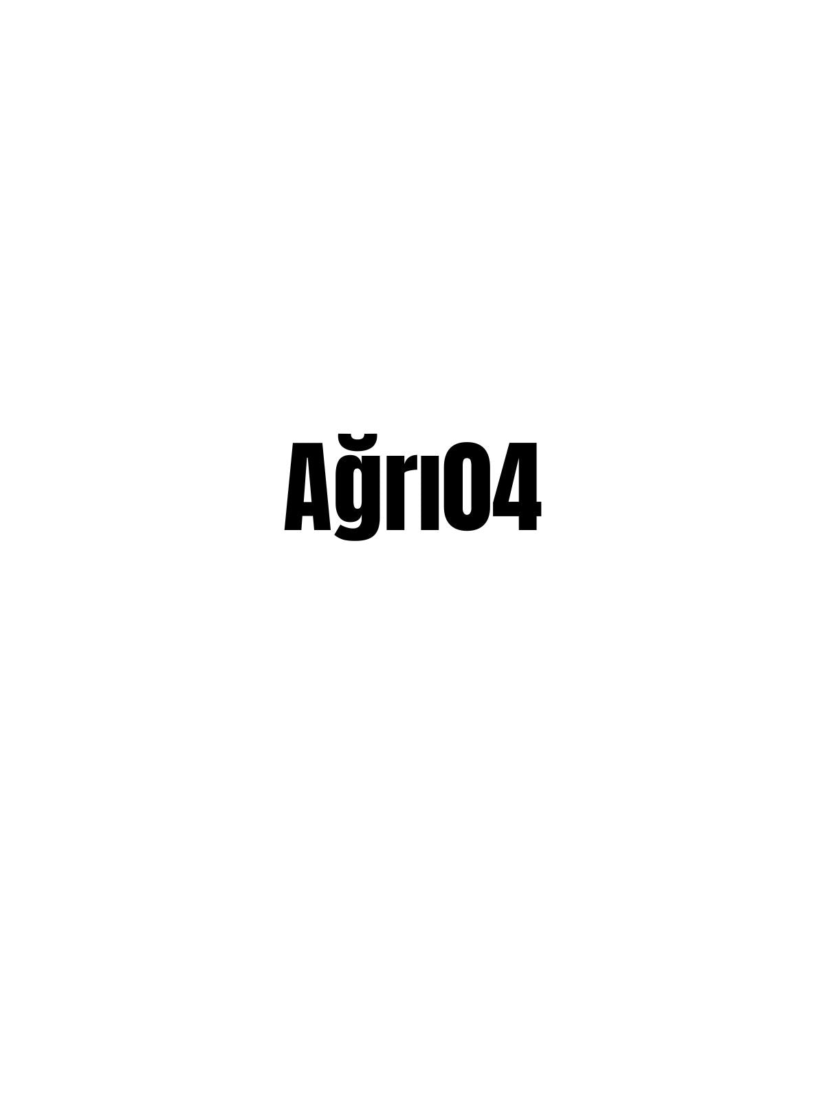 Ağrı 04 - Sevenstickdruck