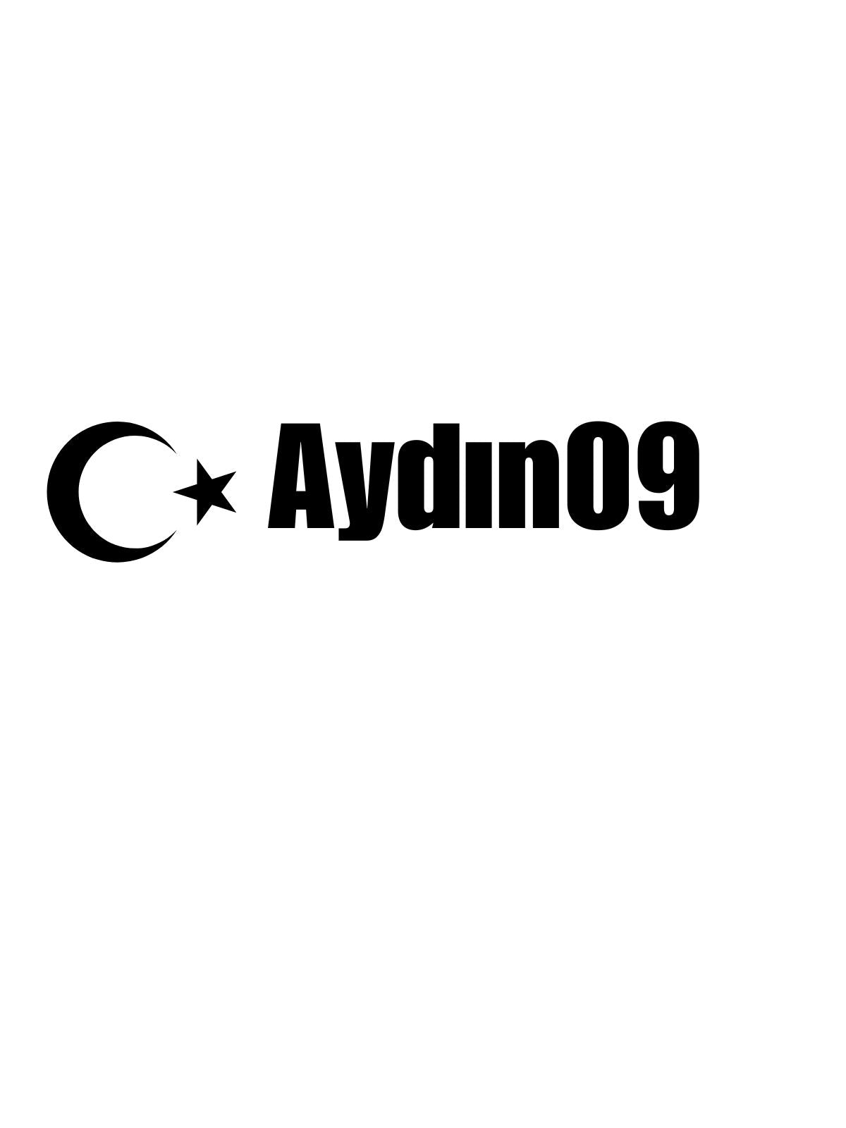 AYDIN 09  - Sevenstickdruck