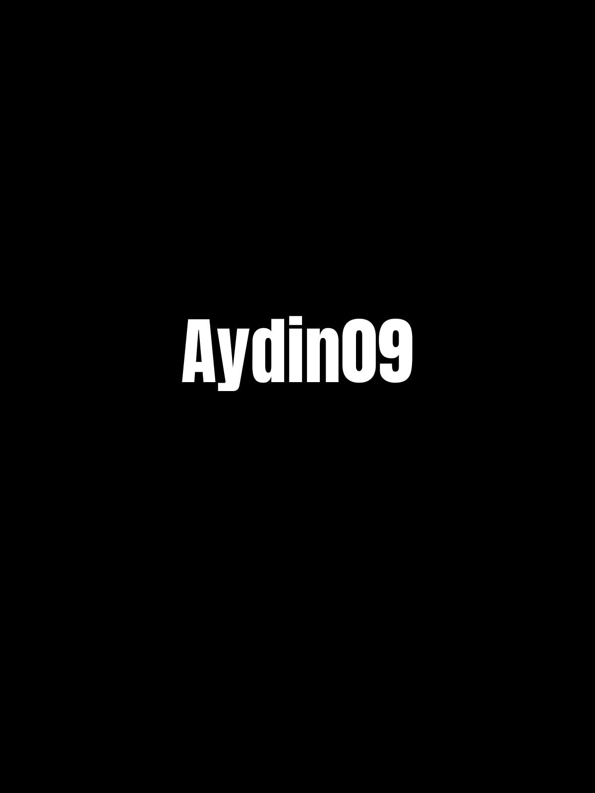 AYDIN 09  - Sevenstickdruck