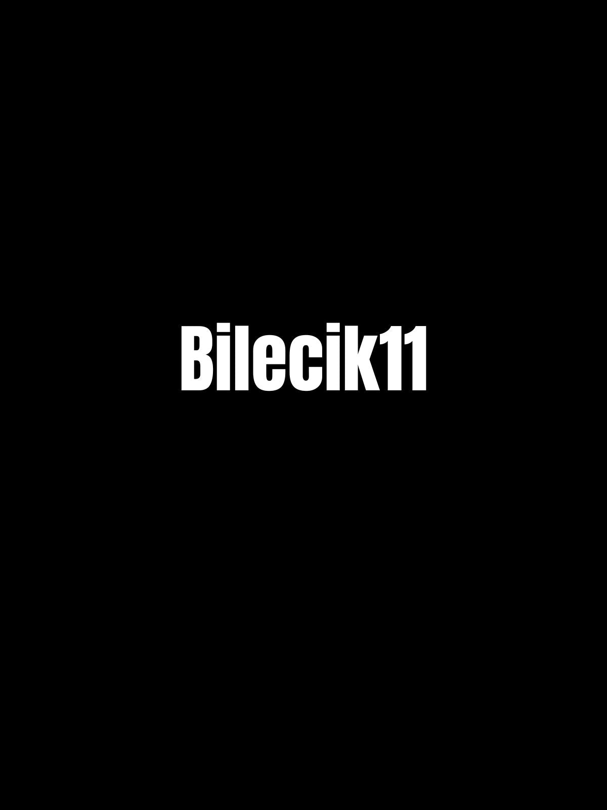 BİLECİK 11 - Sevenstickdruck