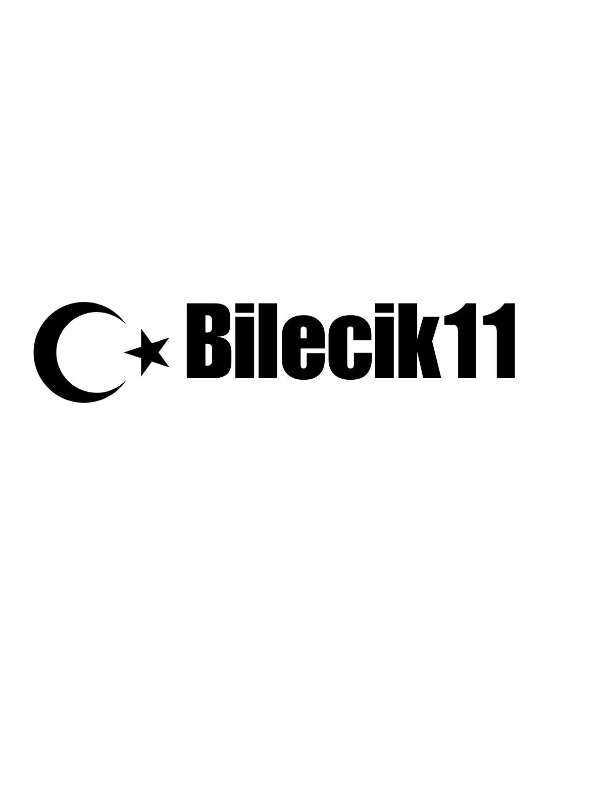 BİLECİK 11 - Sevenstickdruck