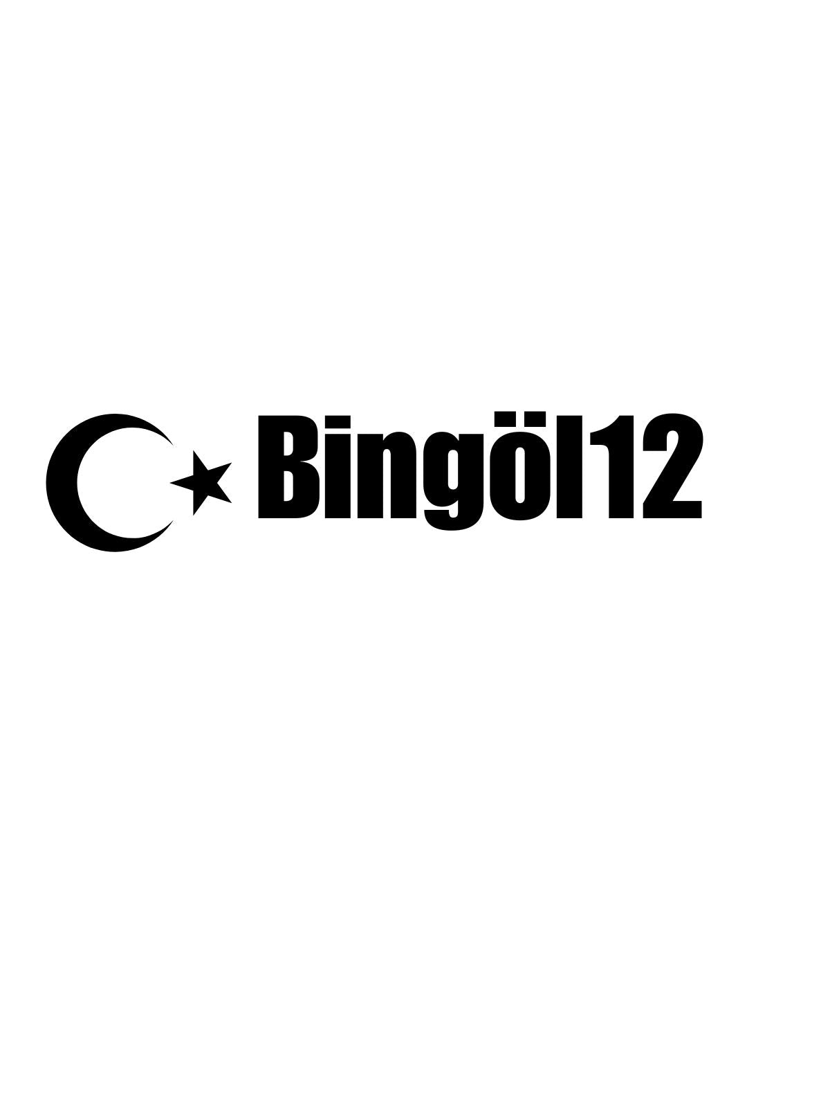 BİNGÖL 12 - Sevenstickdruck