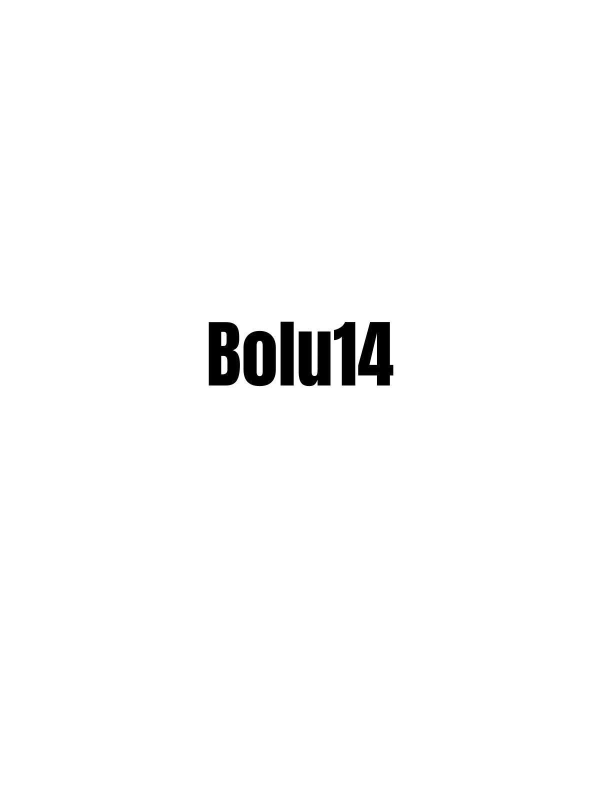 BOLU 14 - Sevenstickdruck