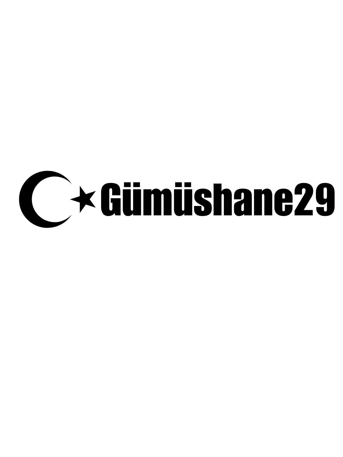 GÜMÜŞHANE 29 - Sevenstickdruck