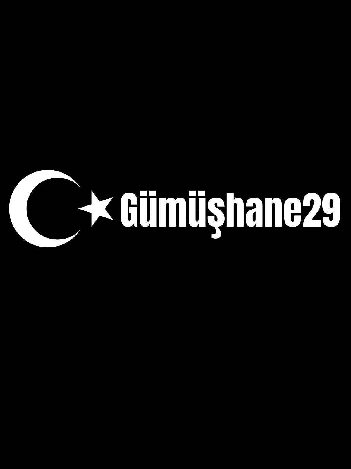 GÜMÜŞHANE 29 - Sevenstickdruck