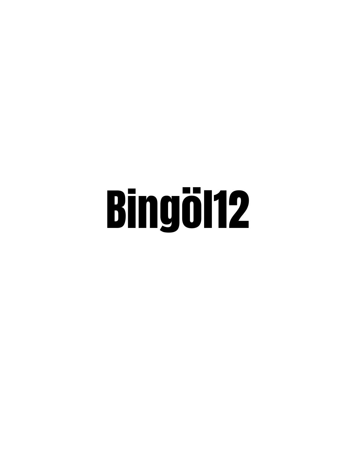 BİNGÖL 12 - Sevenstickdruck