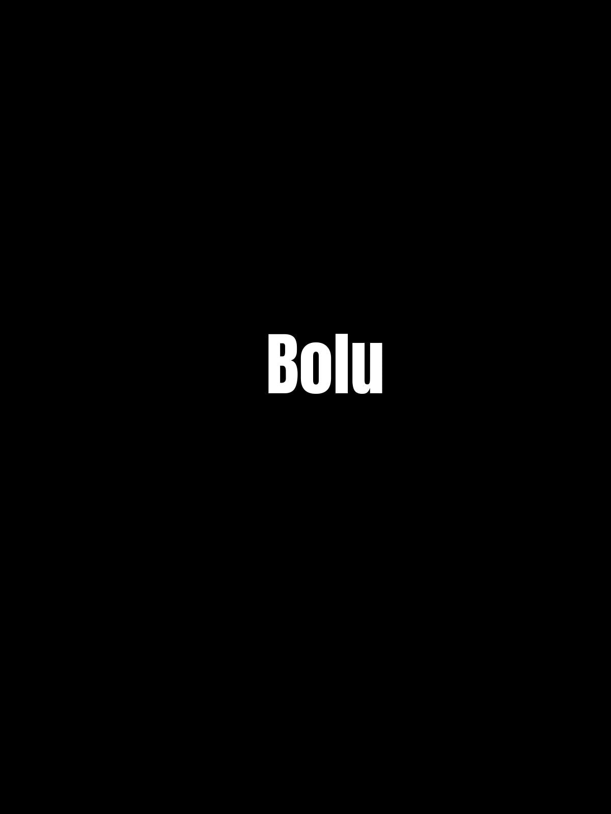 BOLU 14 - Sevenstickdruck
