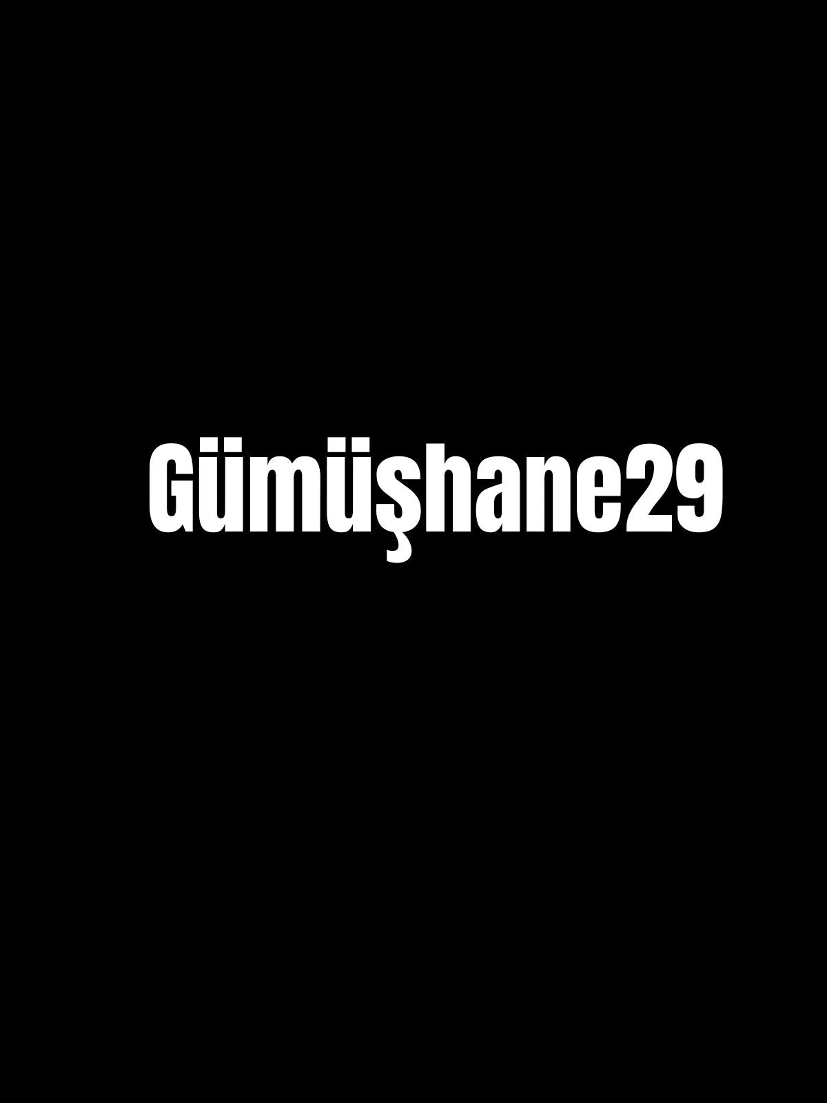 GÜMÜŞHANE 29 - Sevenstickdruck
