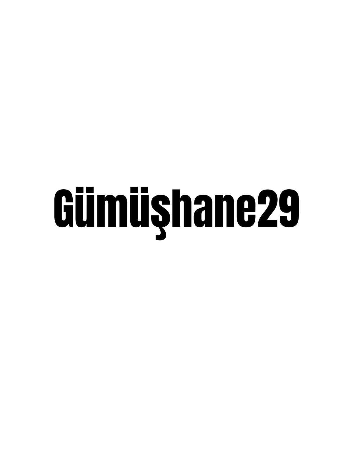 GÜMÜŞHANE 29 - Sevenstickdruck