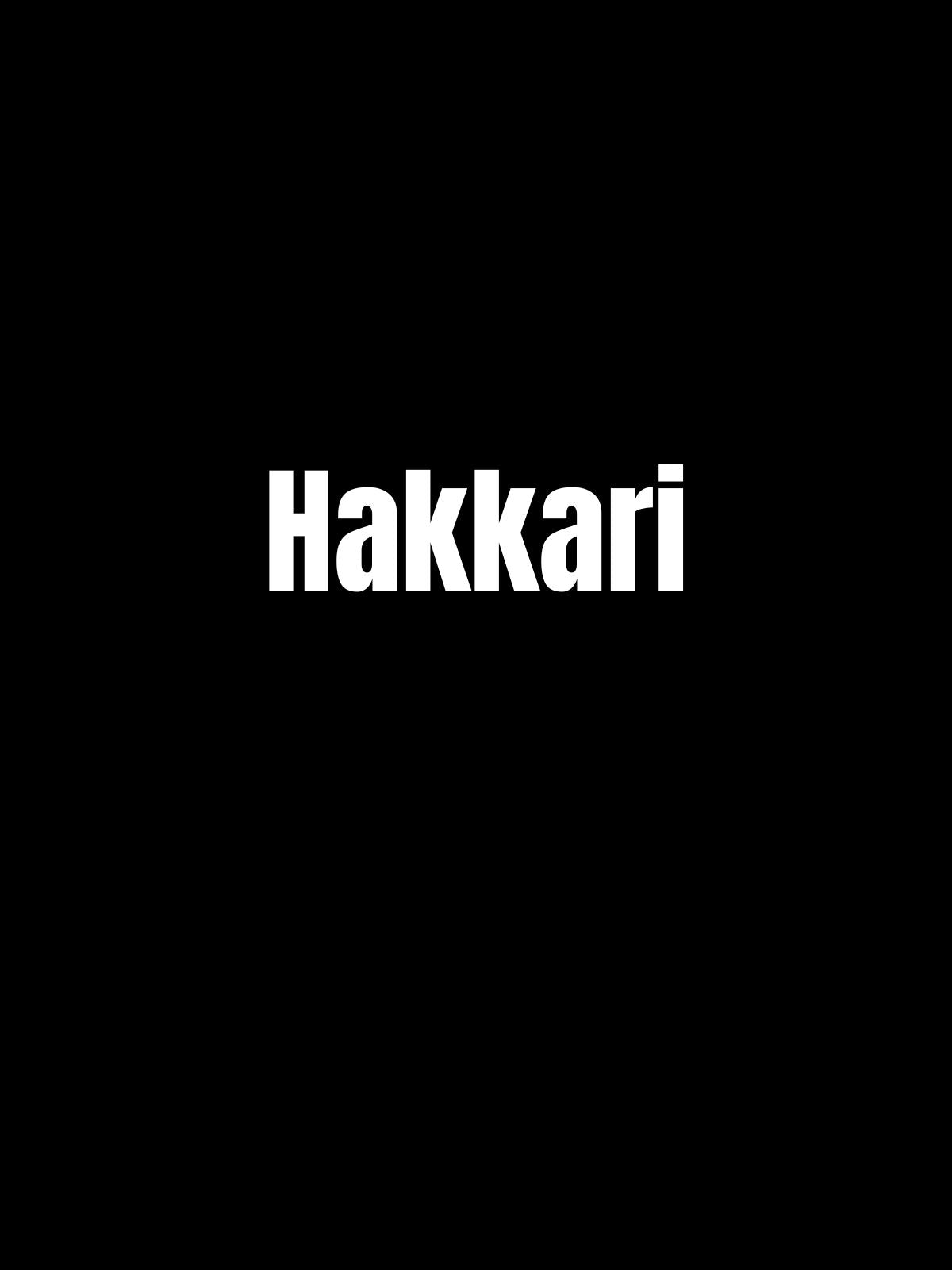 HAKKARİ 30 - Sevenstickdruck