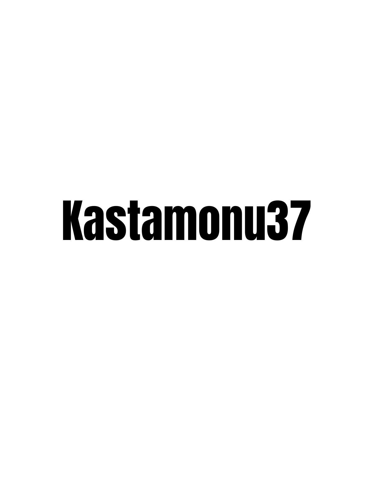 KASTAMONU 37 - Sevenstickdruck