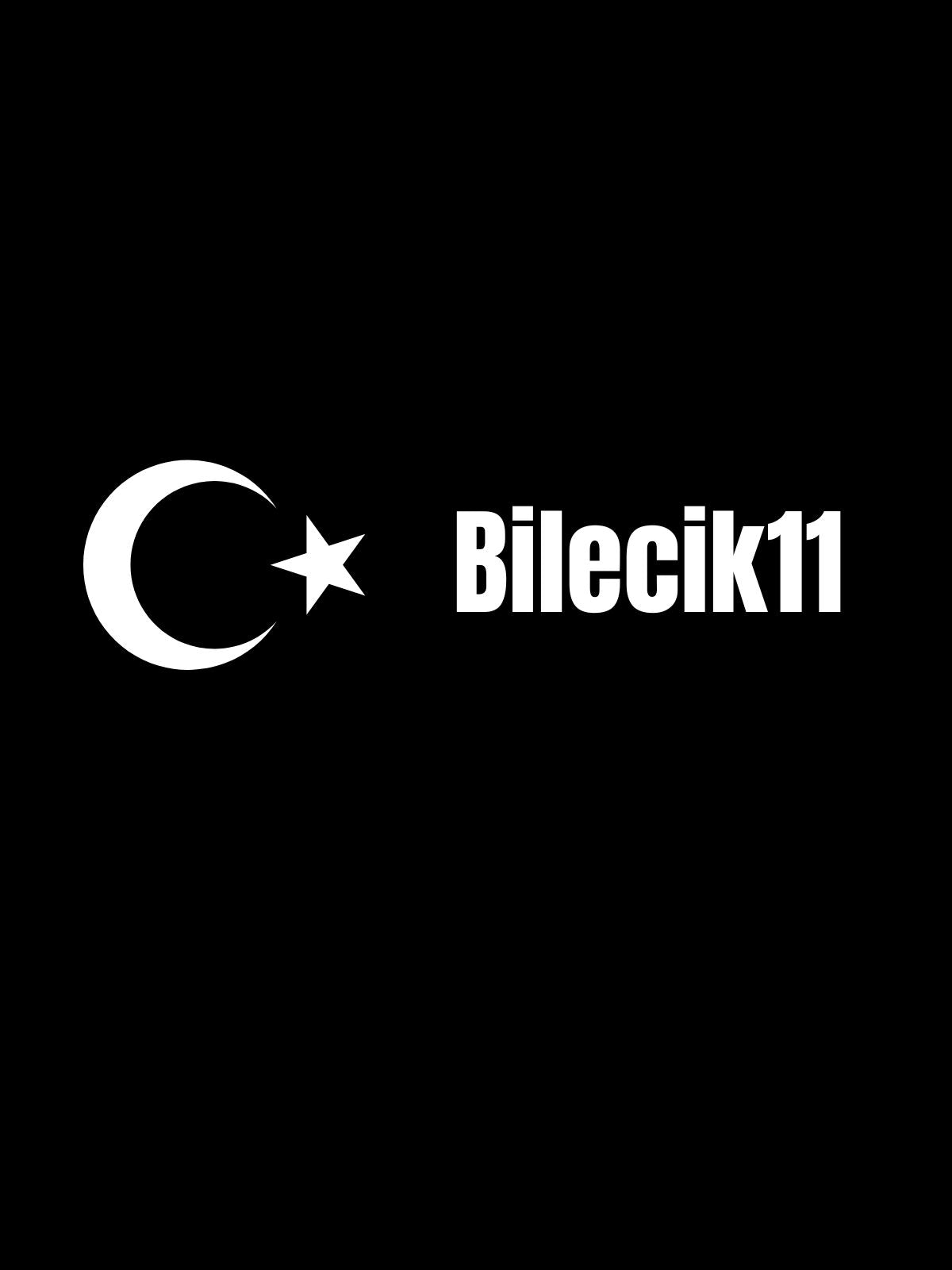 BİLECİK 11 - Sevenstickdruck