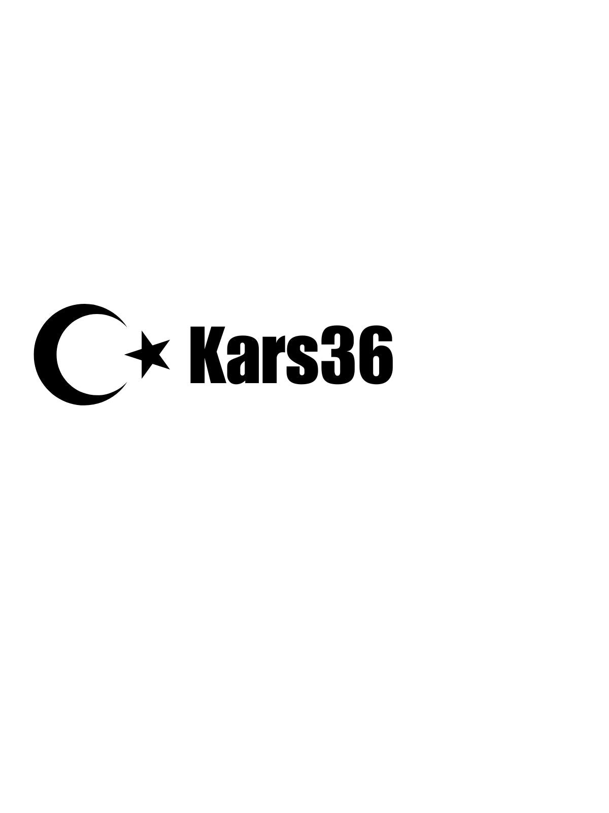 KARS 36 - Sevenstickdruck